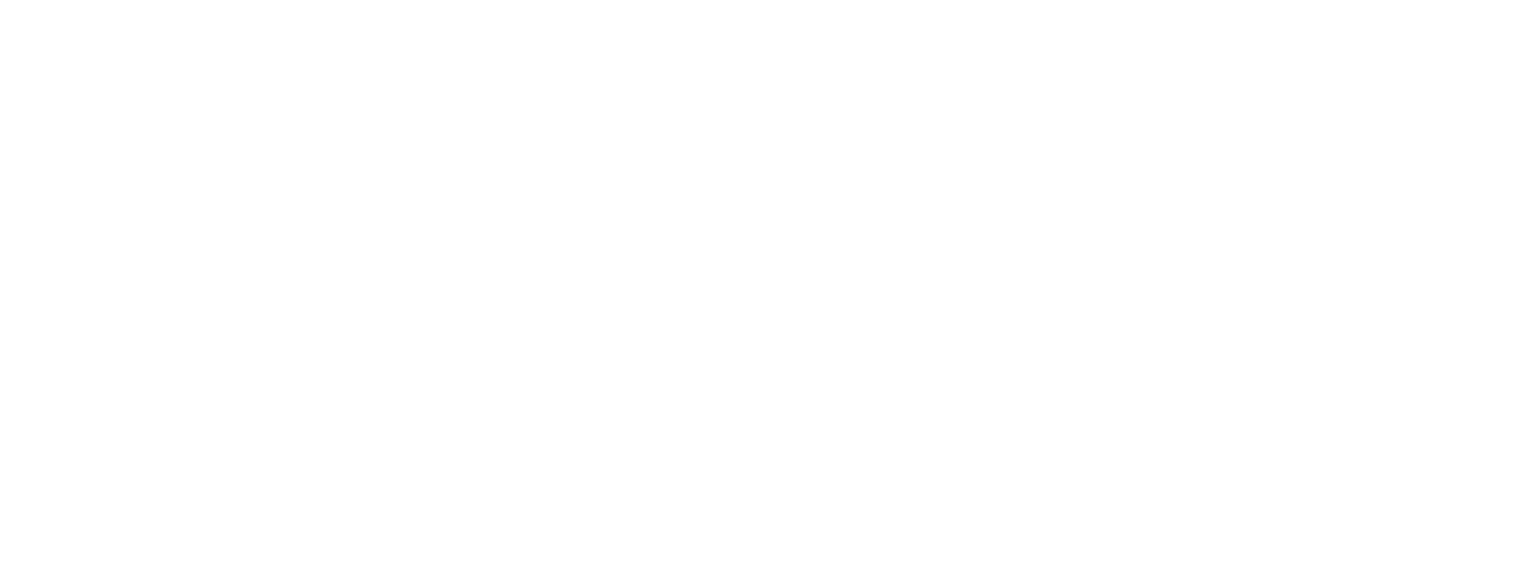 Shamoon Transportation Group